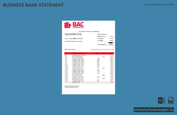 BAC Credomatic Unternehmenserklärung (Word- und PDF-Format) – 1 Beispielvorschau